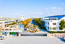 william英国中文官网