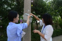 创建全国文明城市 william英国中文官网人在行动