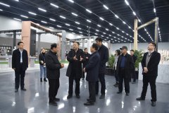 省外贸转型升级调研核查工作组来公司参观调研